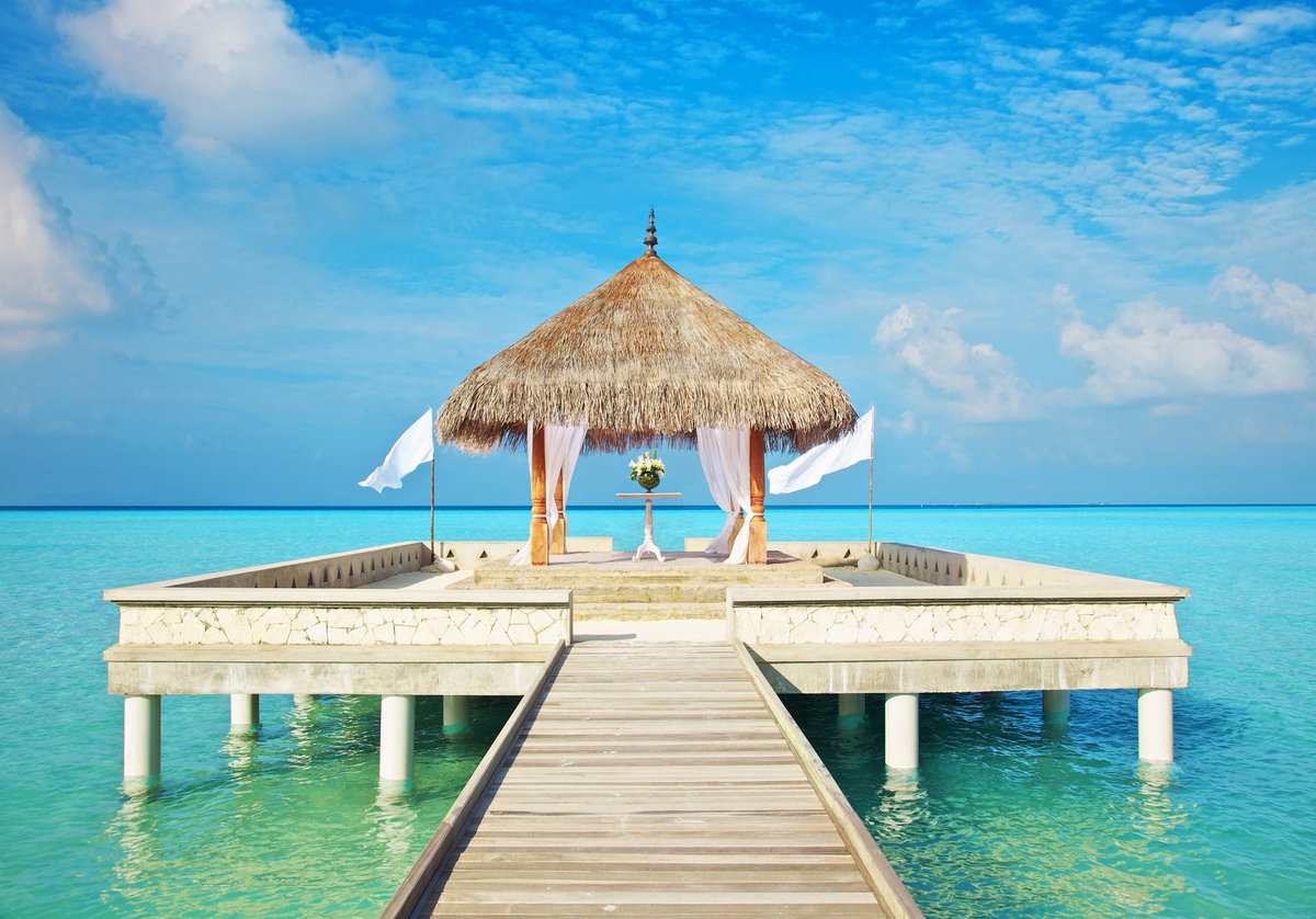 maldivy