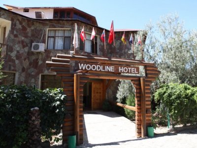 Фото отеля Woodline Hotel 3*