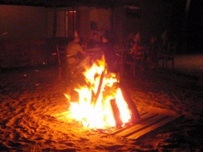Фото отеля The Cosy Beach 3*