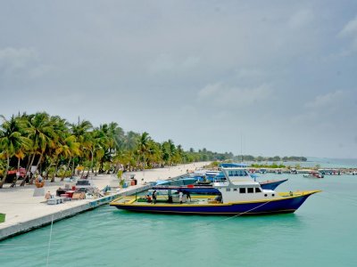 Фото отеля Lily Rest Guesthouse 3*
