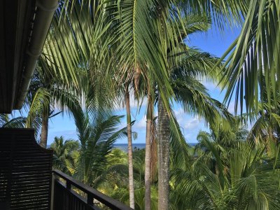 Фото отеля Anse Soleil Beachcomber 4*