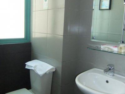 Фото отеля Santa Grand Hotel West Coast 3*