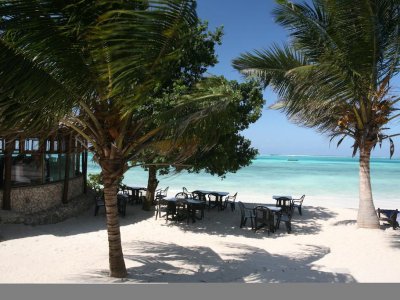 Фото отеля Karafuu Beach Resort 4*