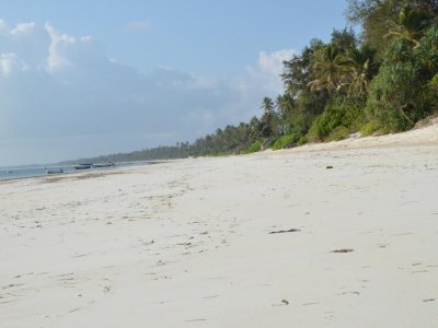 Фото отеля Matemwe Beach Village 5*