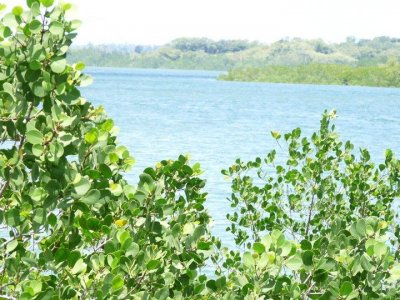 Фото отеля Pemba Misali Sanset Beach 3*