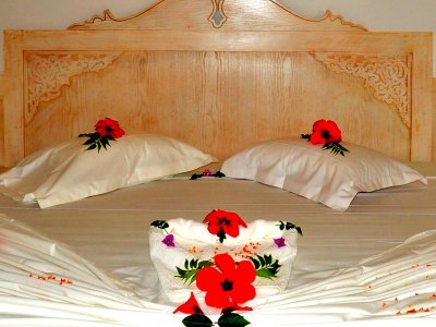 Фото отеля Hotel Zodiac 4*